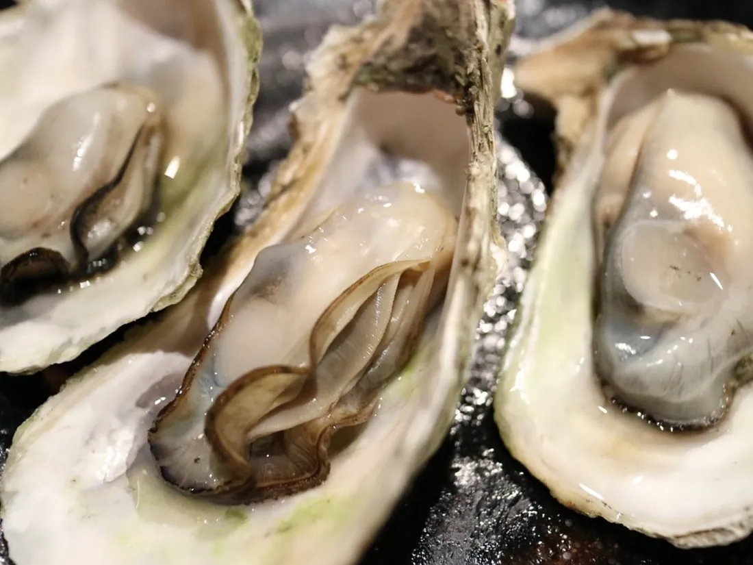 Cela concerne les palourdes et les huitres issus du bassin d'Arcachon.