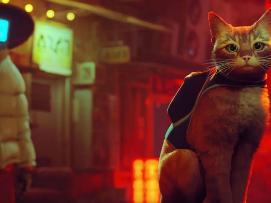 Actu Gaming : le petit chat de Stray bientôt au cinéma