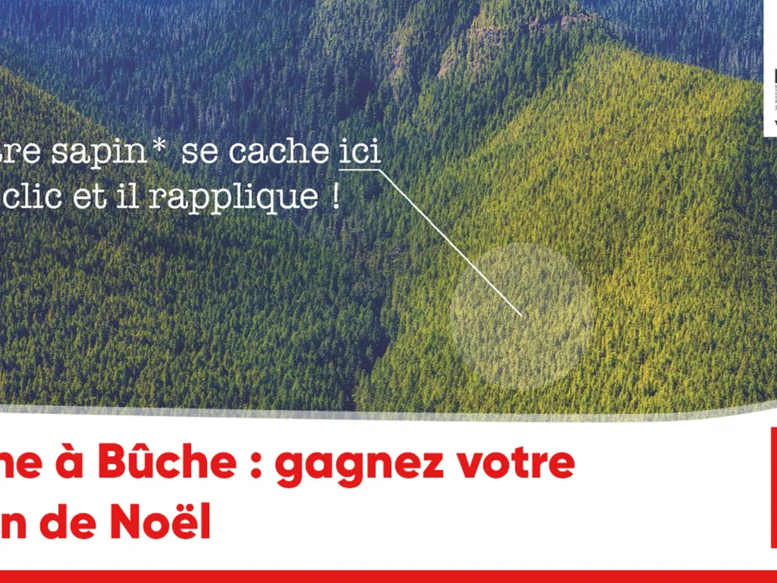 Bûche à Bûche : gagnez votre sapin de Noël
