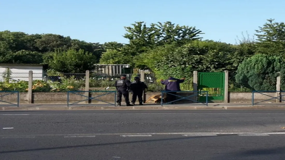Aubervilliers : des manifestants évacués des jardins ouvriers ce jeudi matin