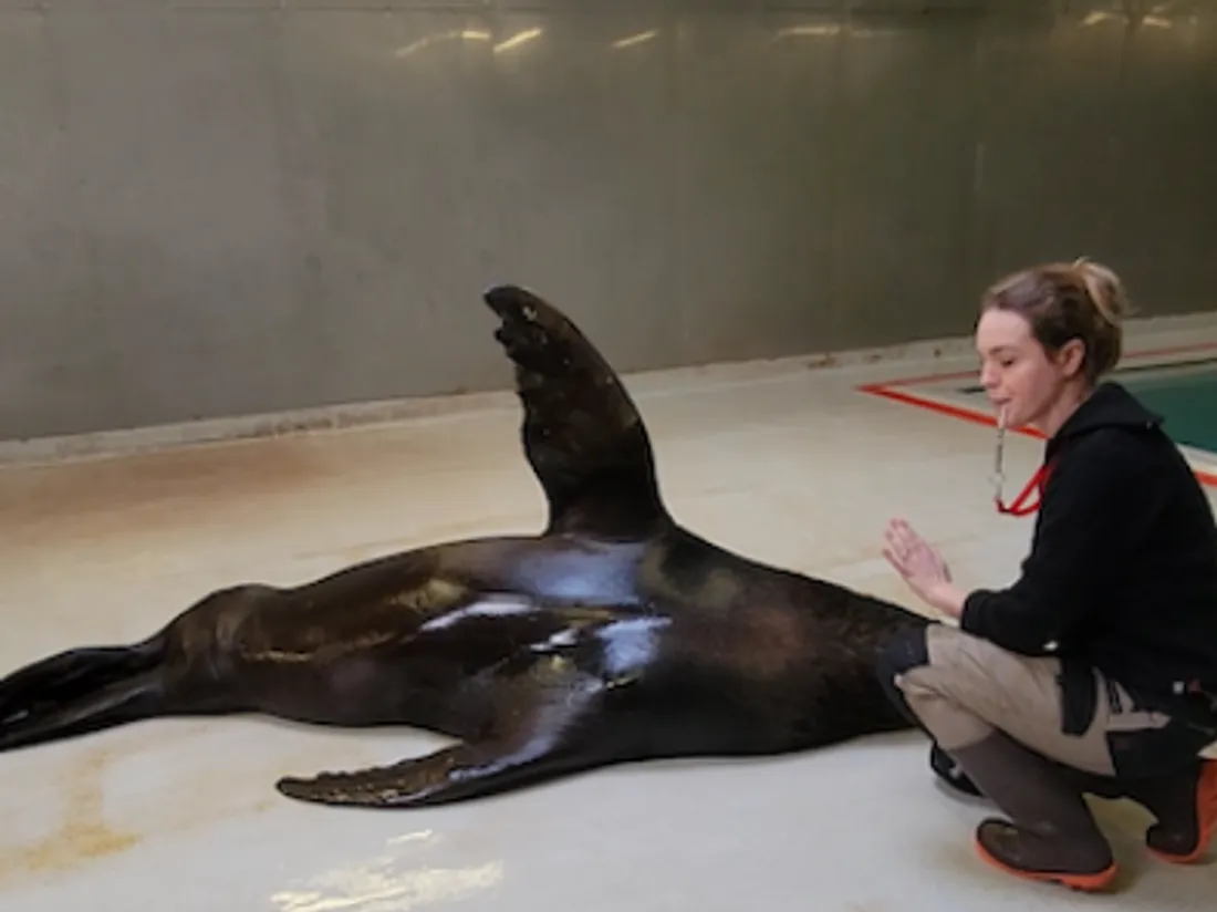 Le parc zoologique de Paris fête ses 10 ans de réouverture