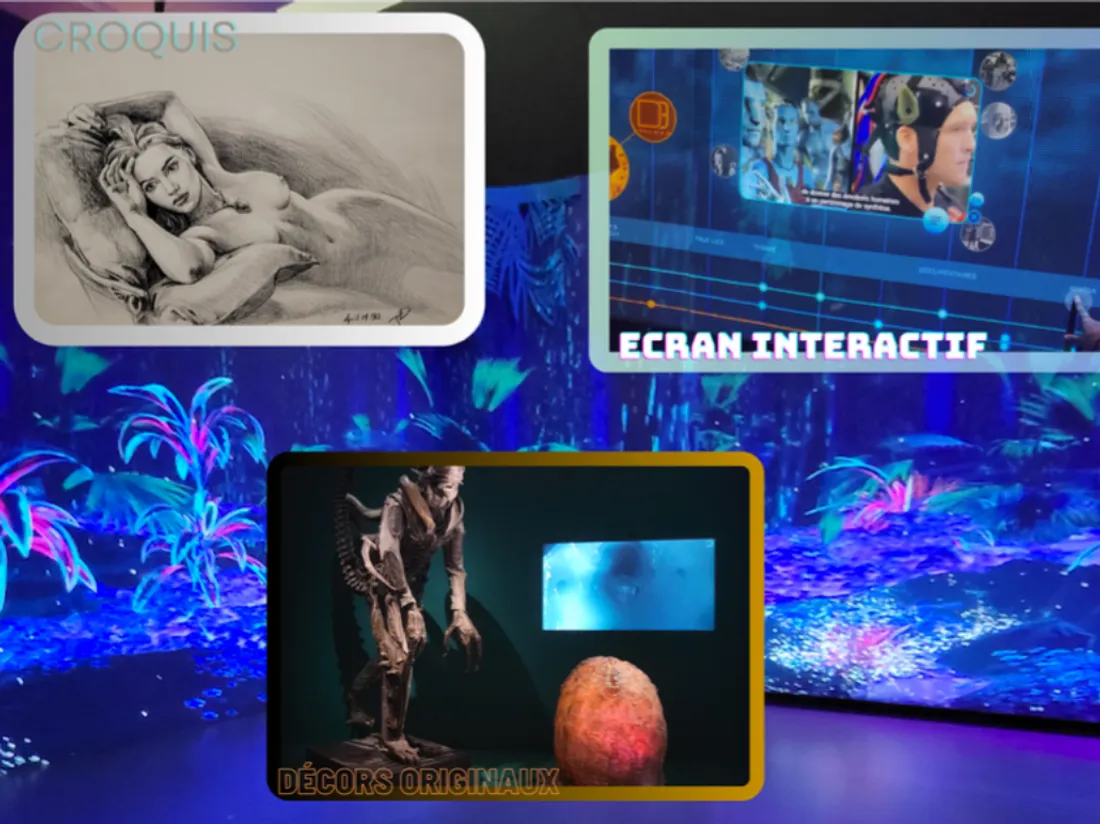 Une exposition en trois dimensions