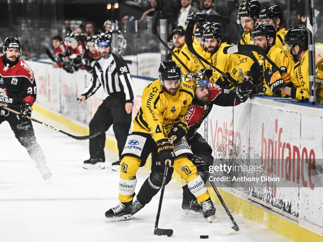 Les boxers bordelais ont perdu la finale 4 à 2