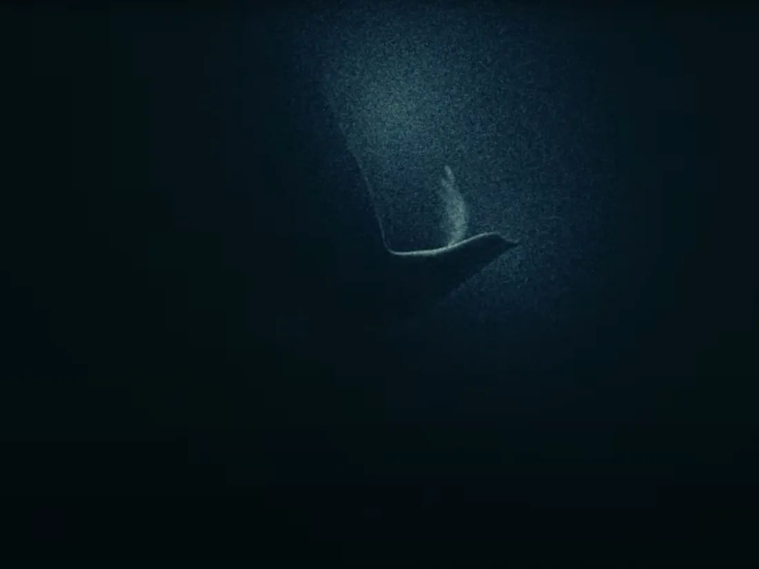 Michaël Canitrot dévoile « Lost in The Dark »