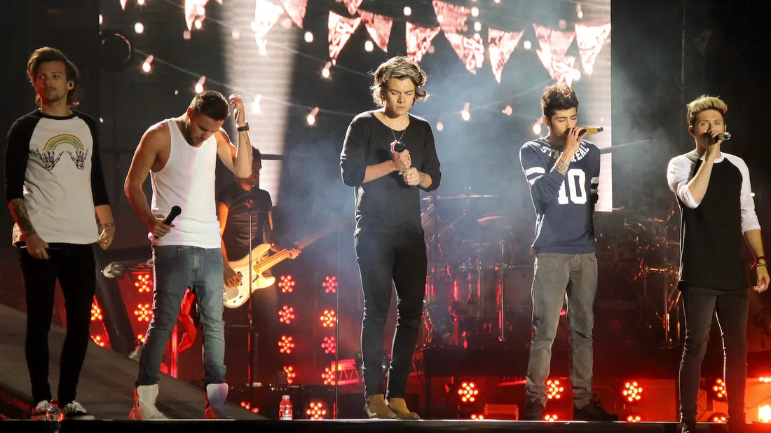 Les One Direction lors d'un concert en 2014.