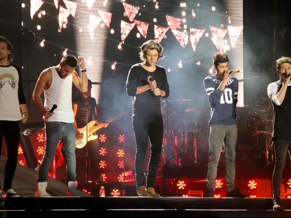 Les One Direction lors d'un concert en 2014.