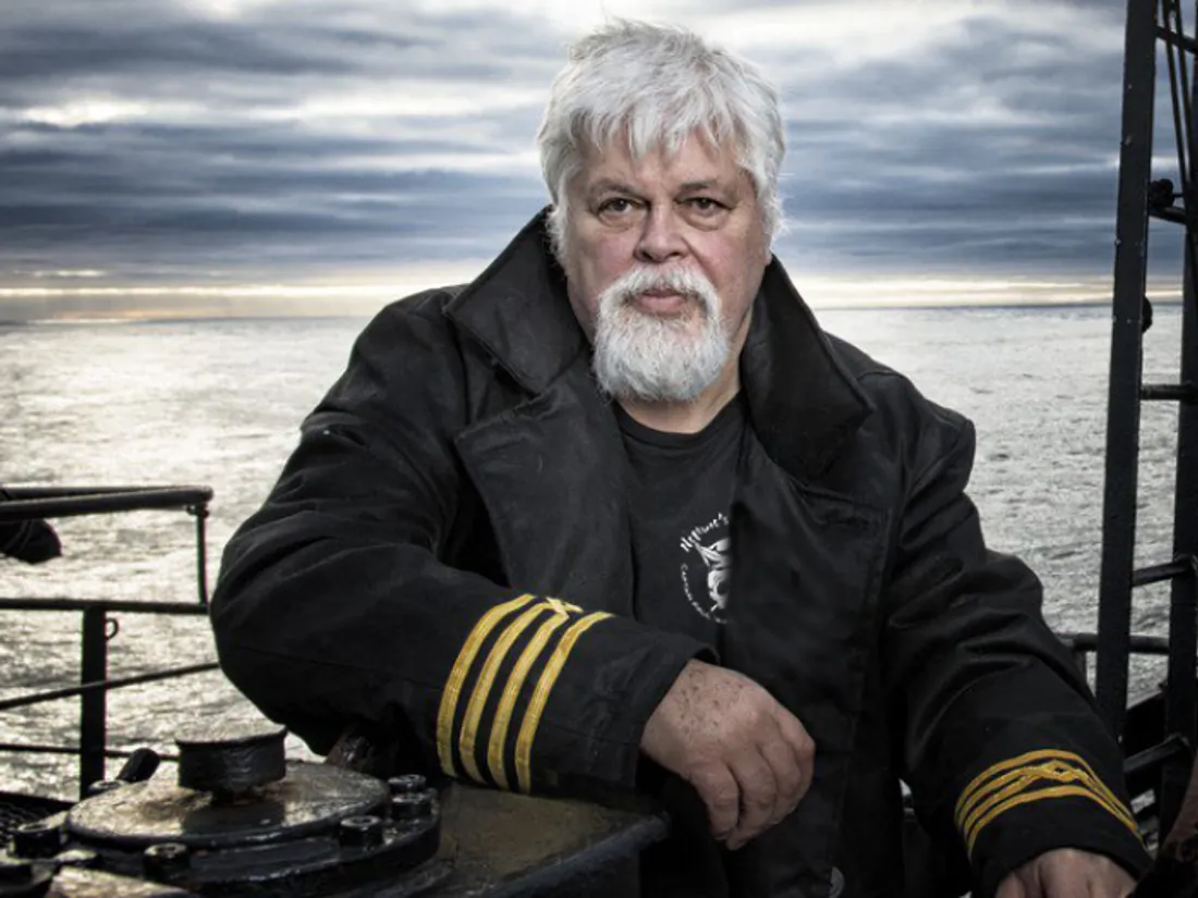 Plusieurs artistes français soutiennent Paul Watson dans une chanson.