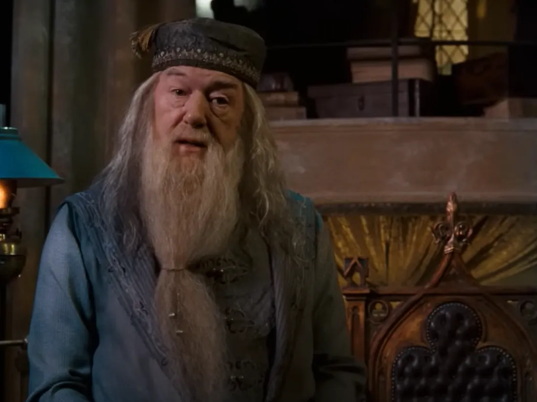 Dumbledore a notamment été incarné par Michael Gambon.