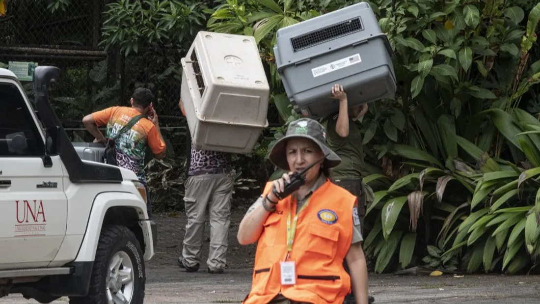 Le ministère de l’Environnement supervise la fermeture des 2 derniers zoos publics du Costa Rica.