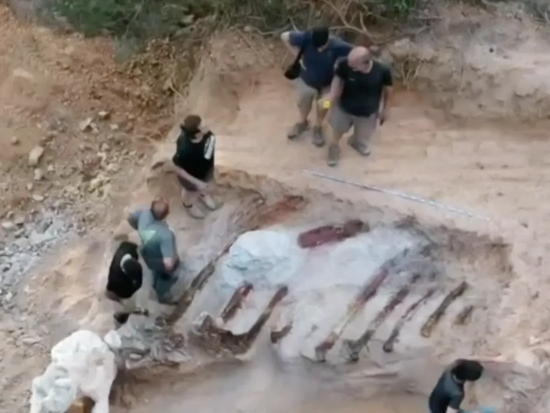 Joël Silva a découvert l’os d'un des plus grands dinosaures du continent européen. 