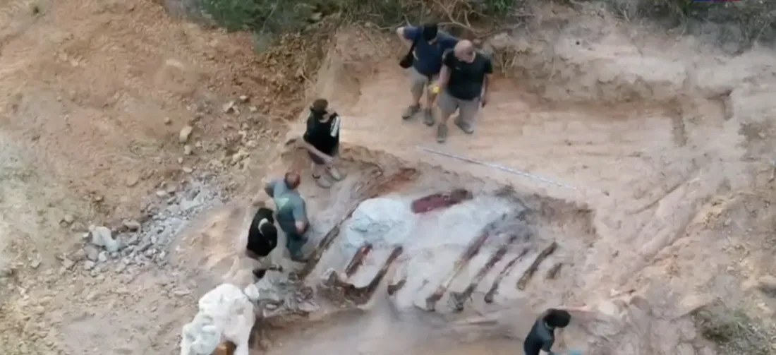 Joël Silva a découvert l’os d'un des plus grands dinosaures du continent européen. 