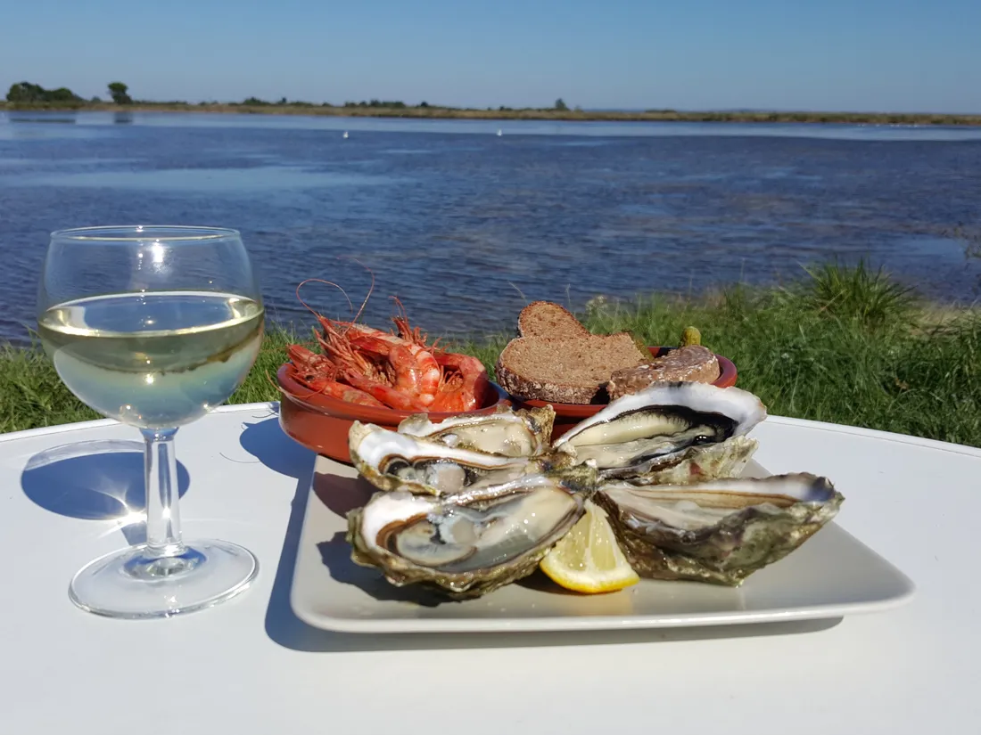 MEDOC