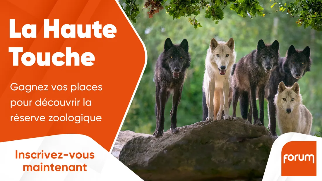 FORUM - ZOO LA HAUTE TOUCHE