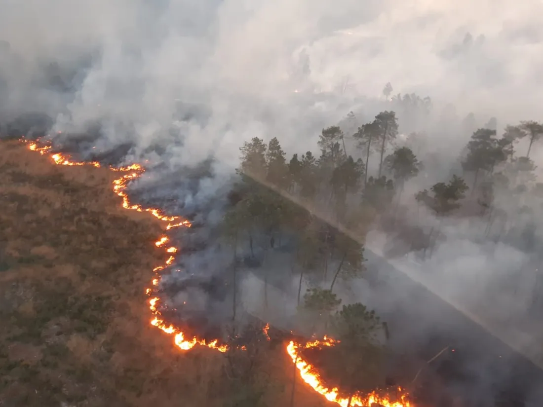 Un feu de forêt