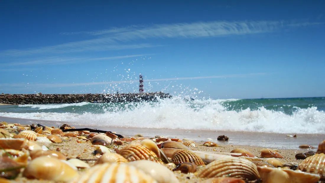 Ilha Barreta à Faro au Portugal