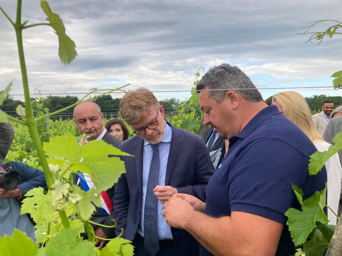 Marc Fesneau, ministre de l'agriculture, s'est rendu sur une exploitation viticole à Salleboeuf