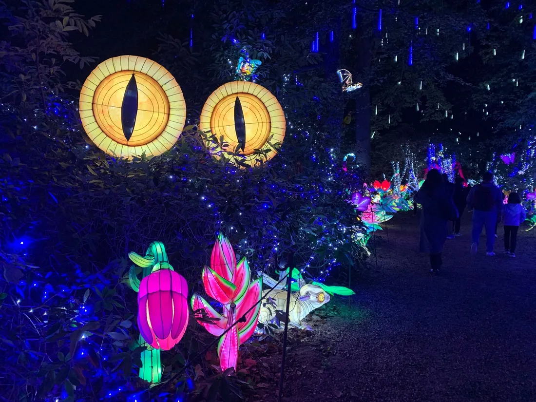 Un parcours lumineux à travers les jardins du château de Thoiry.