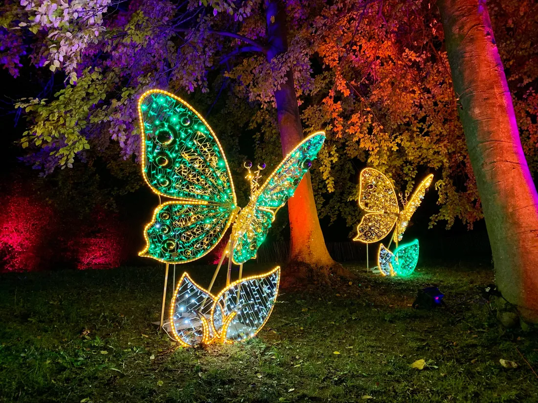 Les papillons de nuit, une des créations de Lumières en Seine.