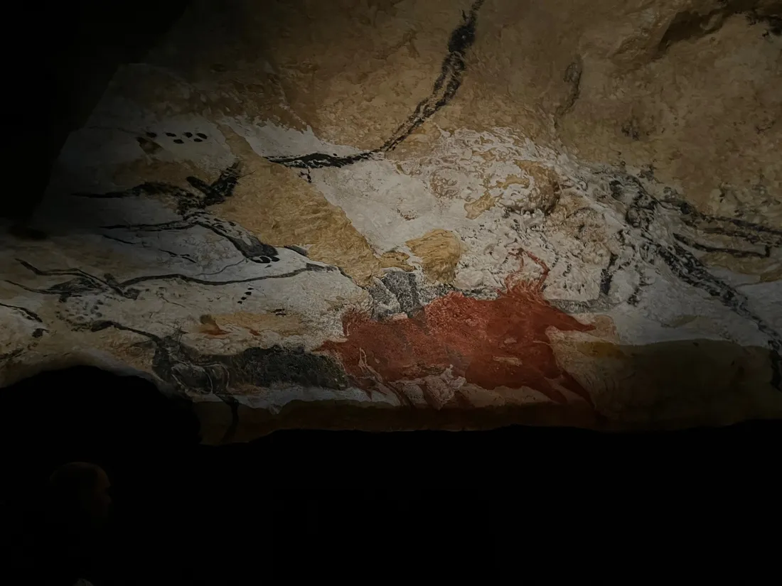 La salle des Taureaux est mis en avant dans cette expo itinérante de Lascaux