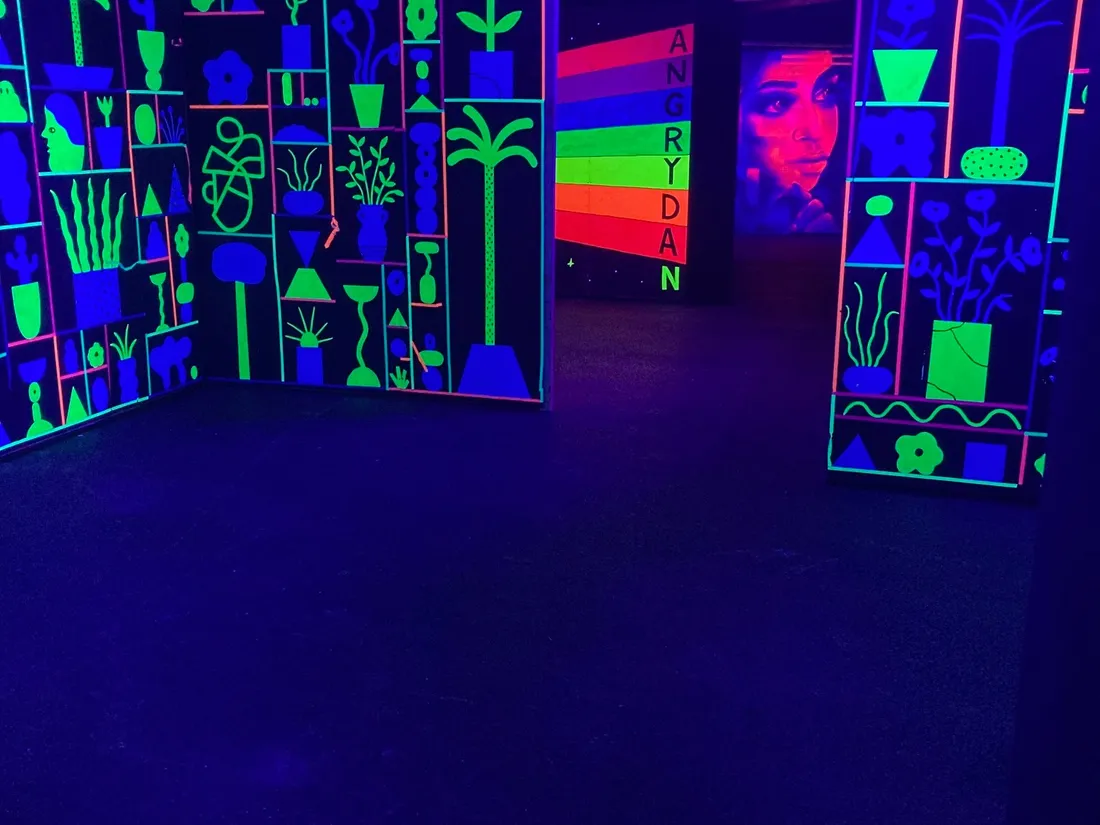 25 street artistes ont participé à l'expo du Colors Festivals