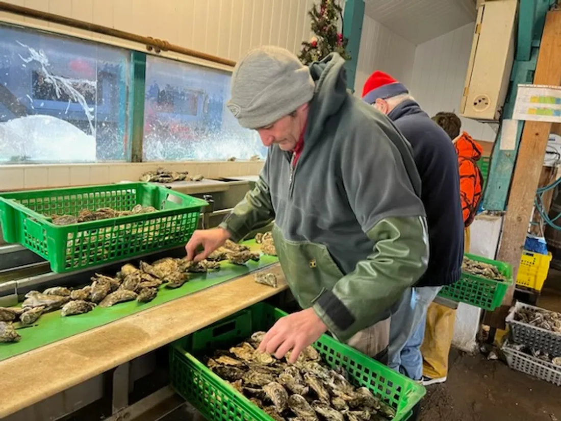 Un ostréiculteur du Bassin d'Arcachon