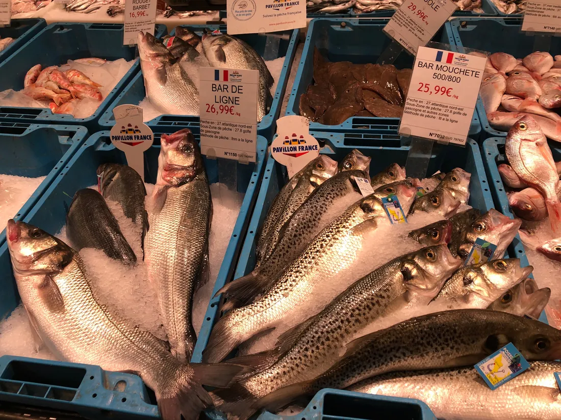 AUCHAN BORDEAUX LAC