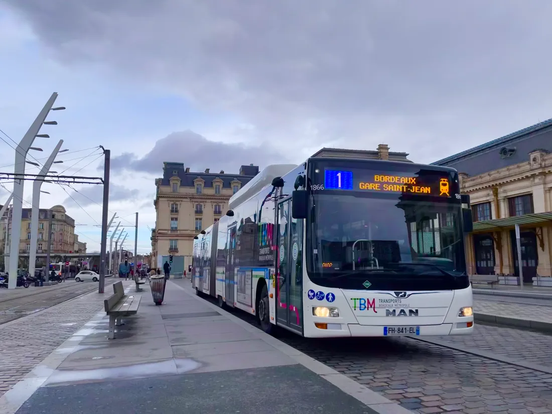 Bus TBM 