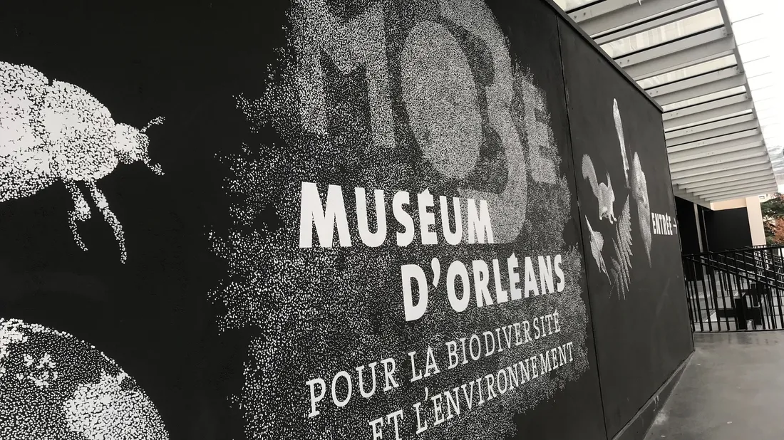 Canicule : les musées d’Orléans ouverts gratuitement 