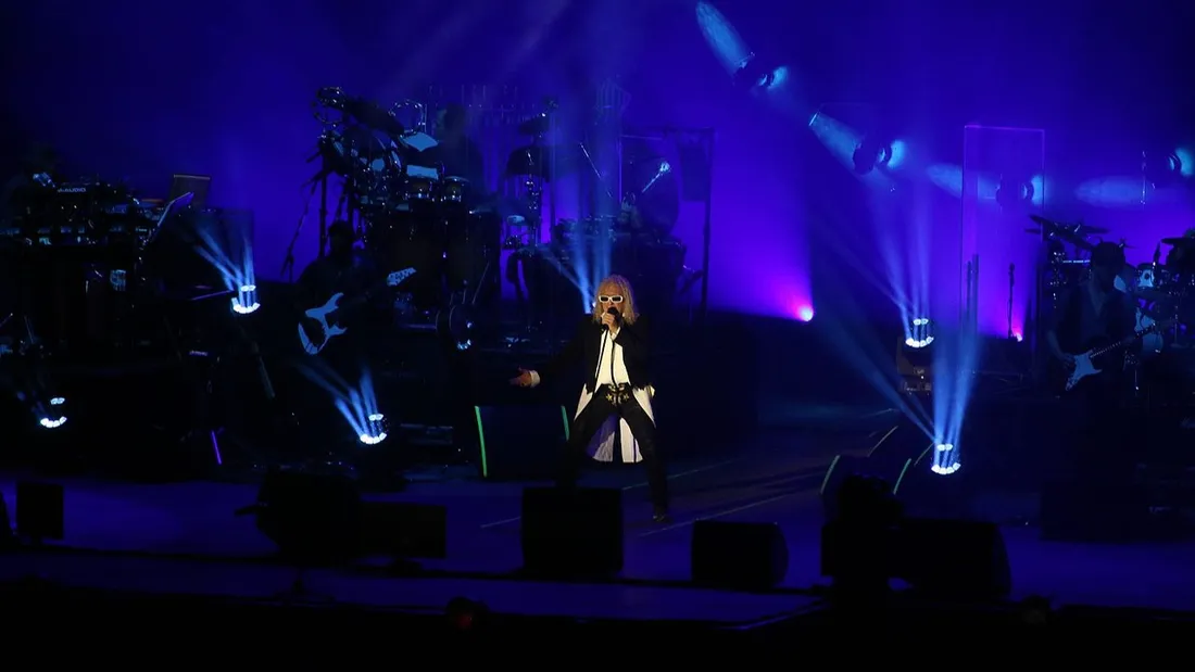 Michel Polnareff lors d'un concert en 2016.