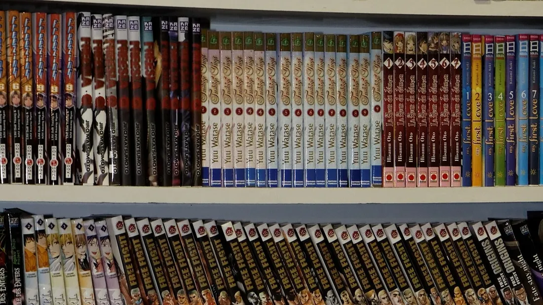 Le manga fait partie des achats privilégie avec le pass culture.