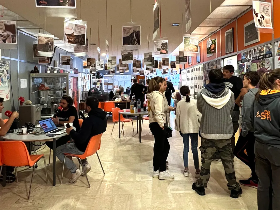 Portes ouvertes à la SPA : une journée remplie de bonnes nouvelles !