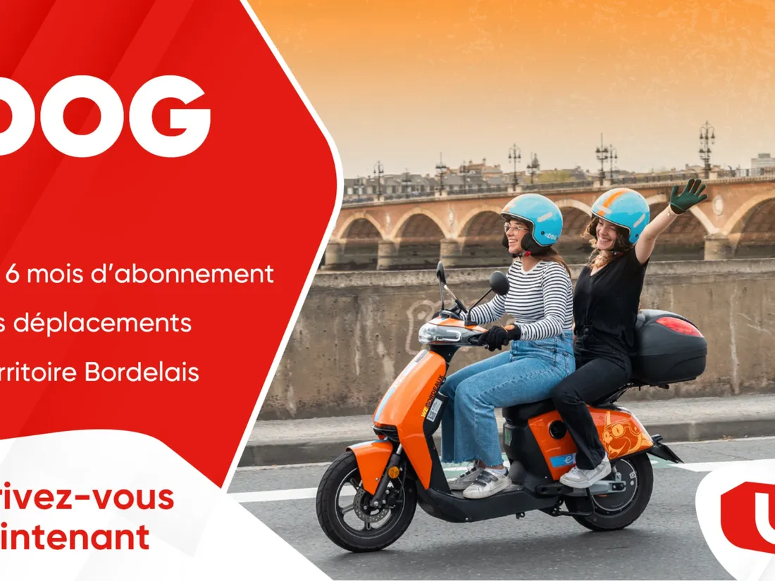 WITFM - eDOG