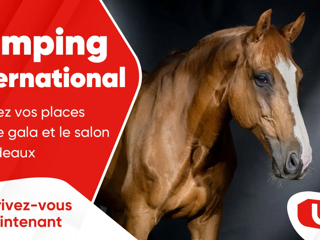 WITFM - Jumping international