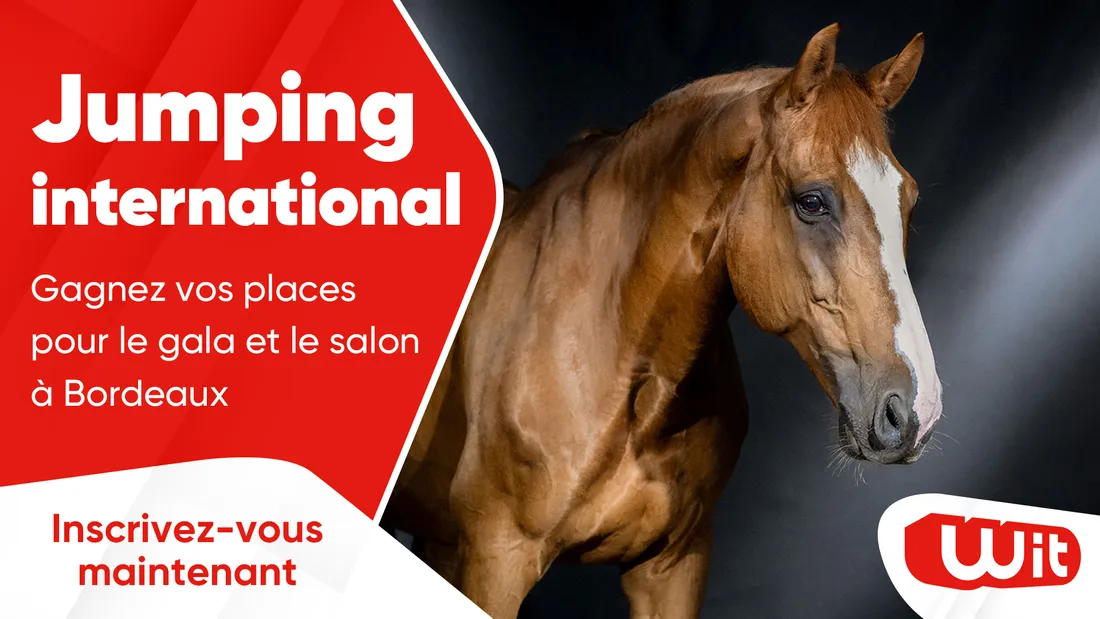 WITFM - Jumping international