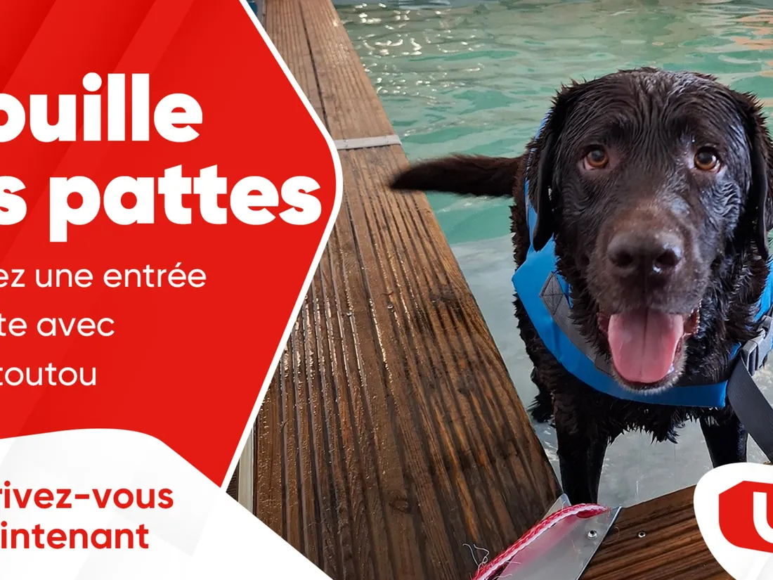Mouille tes pattes jeu