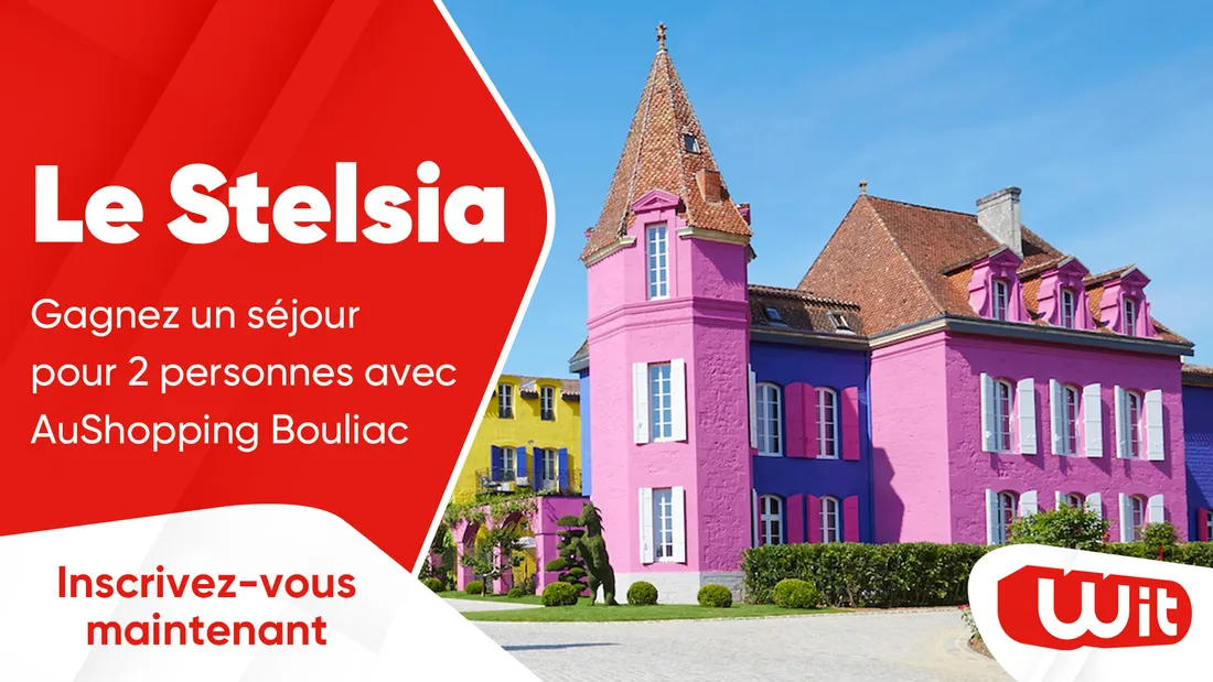 Stelsia