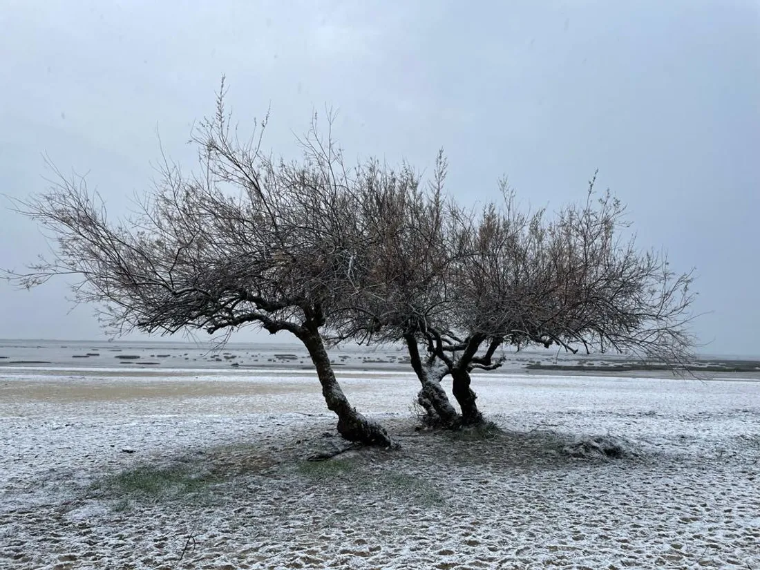 La plage Suzette à Lanton 
