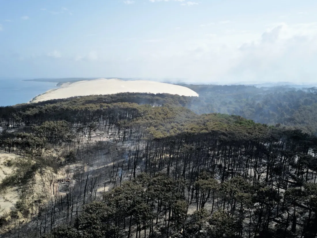 Vue aérienne suite aux incendies près de La Teste