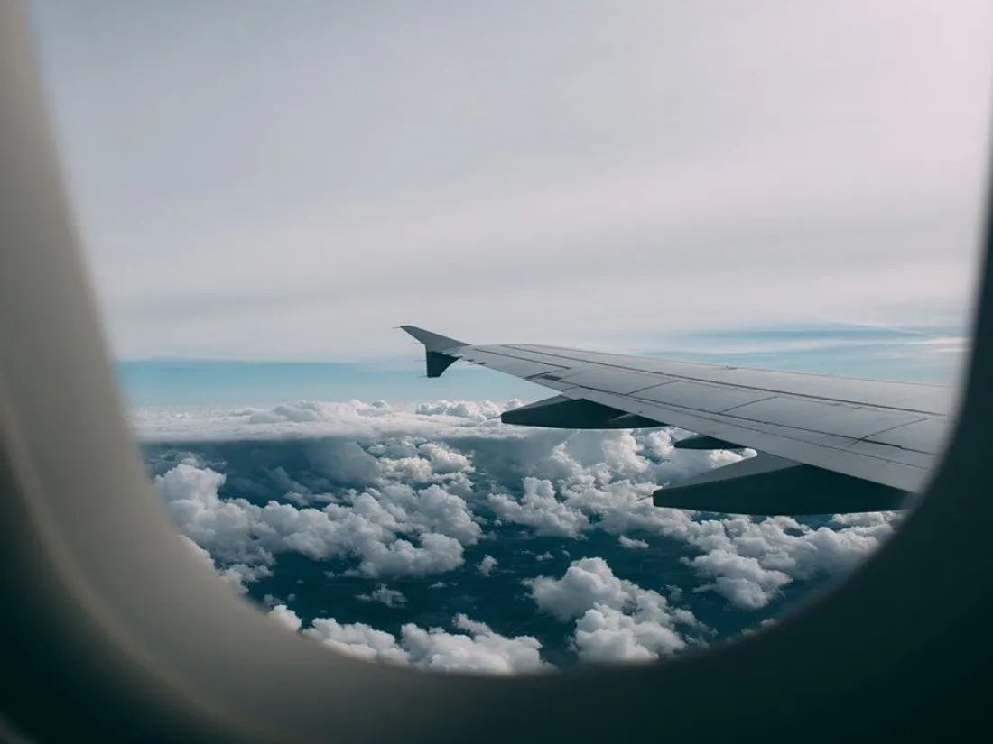 avion