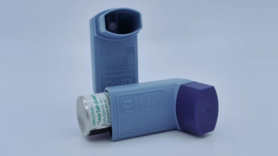 Journée mondiale de l’asthme : plus de 140 000 patients en Centre-Val de Loire 
