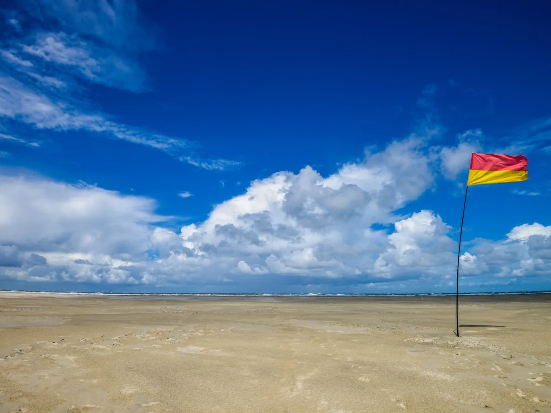 Les nouveaux drapeaux sont rectangulaires, rouge et jaune. 