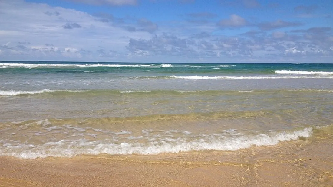 Des plages ont été fermées à titre préventif en 2021.