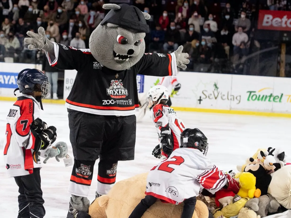 Les peluches seront jetées sur la glace dès le 1er but marqué par les Boxers