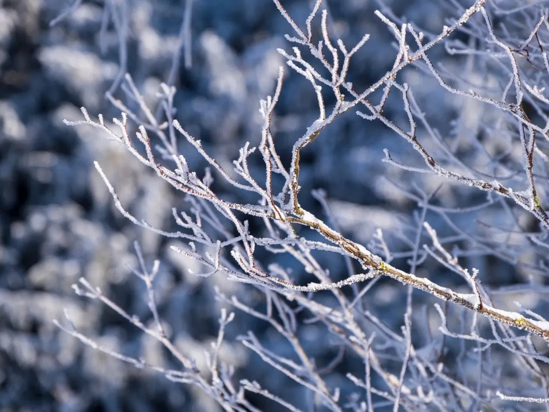 Météo : une fin d’année glaciale ? 