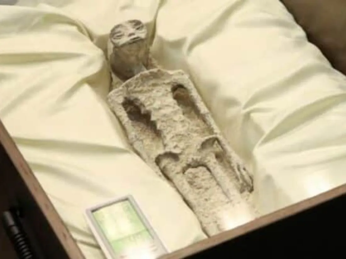 Mexique : des fausses momies d’extraterrestres présentées devant le Parlement (vidéo)