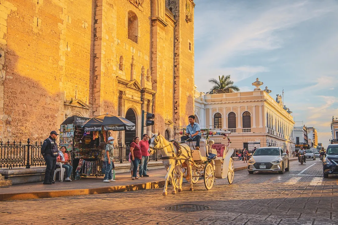 Dans la province du Yucatan, au Mexique.