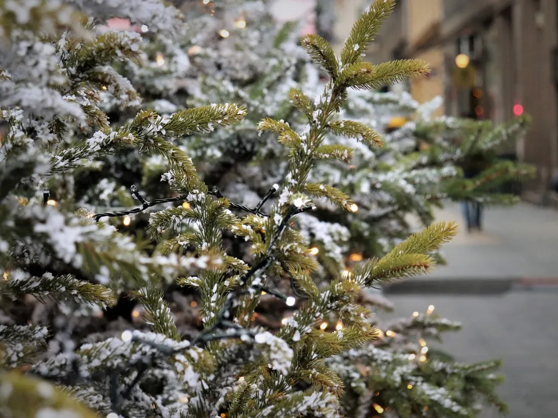 Sapin de Noël 