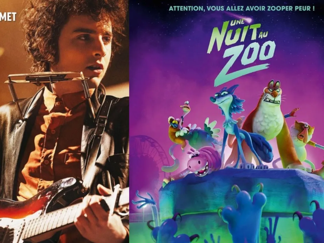 "Un Parfait inconnu", "Une Nuit au zoo" à voir, à partir du 29 janvier, au cinéma.