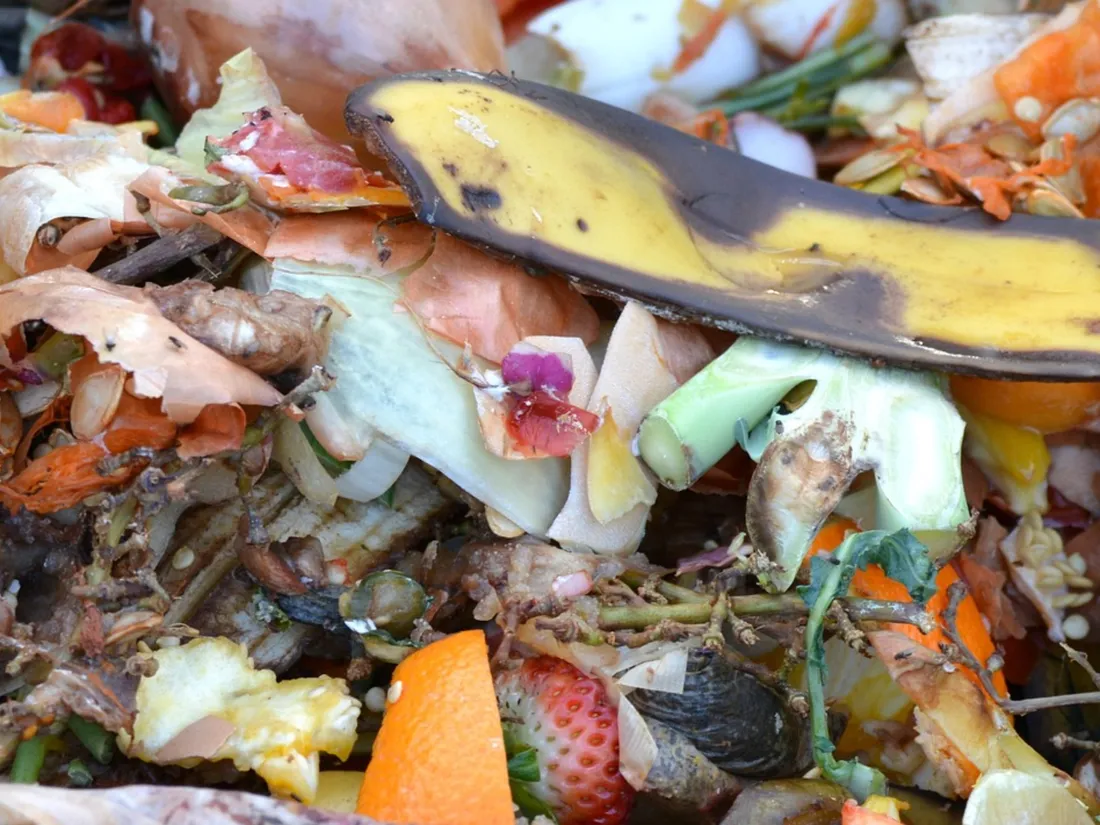 Compost