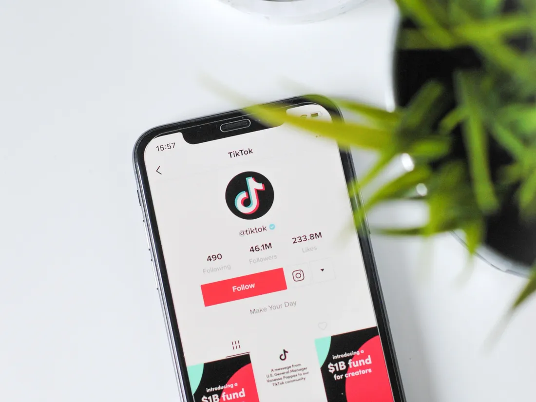 "Boat jumping", "Momo Challenge" : qu'est-ce-que ces défis dangereux qui font fureur sur TikTok ?